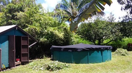 Keaau making progress